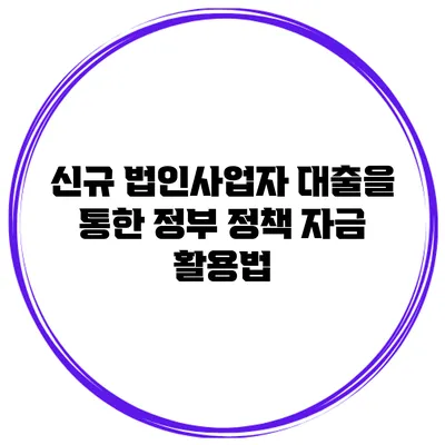 신규 법인사업자 대출을 통한 정부 정책 자금 활용법