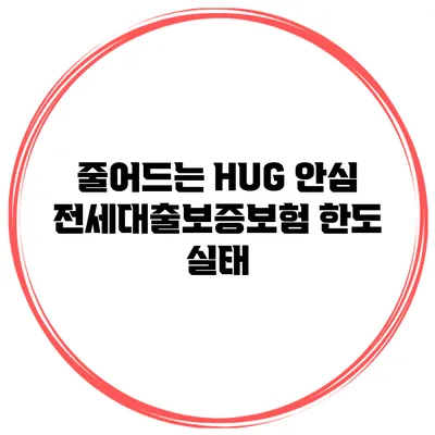줄어드는 HUG 안심 전세대출보증보험 한도 실태